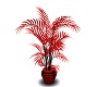 anim red and blk plant
