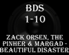 Zack- Beautiful Disaster