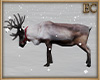 EC| PP Reindeer