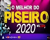 Novo piseiro 2020