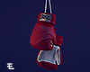 Sports / Boxing Gloves
