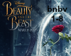 Intro: Beauty and Beast