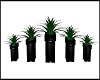 Plant Boxes [5]