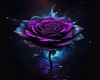 purple rose