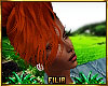 ♠|Sauv Falila
