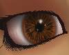 Colorful Brown Eyes