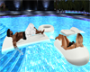 ~PS~Passion Pool Floats
