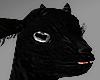 Black goat c