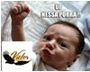 VOZ ZUEIRA