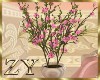 ZY: Sakura Plant