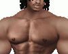 Muscle Animated