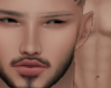 Kane Beard Skin