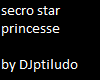 secro star-princesse