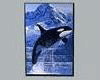 Killer Whale Poster