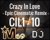 Crazy In Love Epic 1
