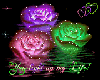 Colored Roses