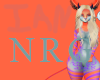 NrGie Female Skin