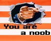 YOU ARE A NOOB