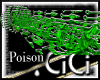 [CiCi]Poison kunai Blast