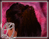 L_O Brown Plum Shahrazad