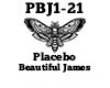 Placebo Beautiful James