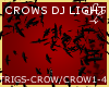 Black Crows DJ Light