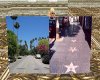 Hollywood Backgrounds