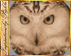 ATS~Wooden Snowy Owl