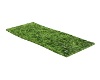 Adam & Eve's Grass Mat