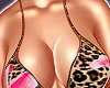 Tropical Set 2025