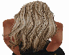 *F LONG BLONDE STREAK 1