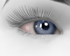 Eyes Ocean♛
