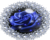 blu rose with diamant