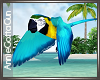 Tahitian ~ Dreams Parrot