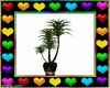 Love Design  Plant