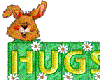 Hugs Bunny