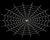 ~S~ Deco Spider W/Web