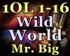 Wild World / Remix