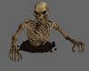 Halloween skeleton