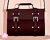 🌟 Cross Bag｜R
