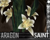 [SAINT] Aragon Lily