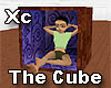 [Xc] Cube w Poses & Anim