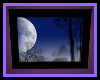 HD Night Moon Pic