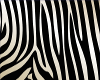 Zebra Print Room
