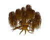 Willow Tree Brown