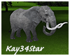 Jungle Park Elephant 2