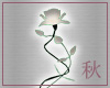 [Rhu] White Rose Decor