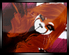 (S) Red panda hair V1