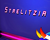 Neon Strelitzia