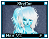 Skycat Hair V2